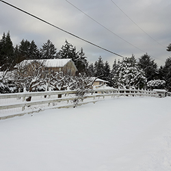 snow farm